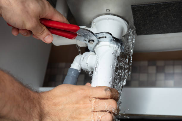 Best Carpet water damage restoration  in Philmont, NY