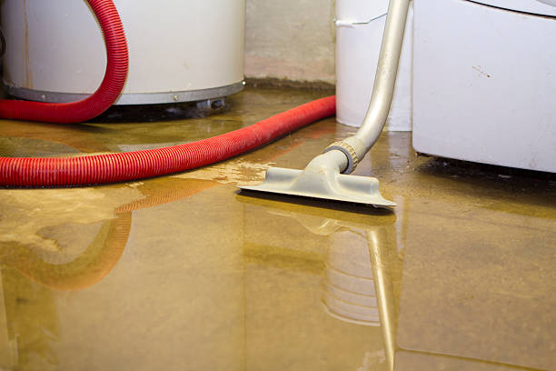 Best Flood restoration services  in Philmont, NY