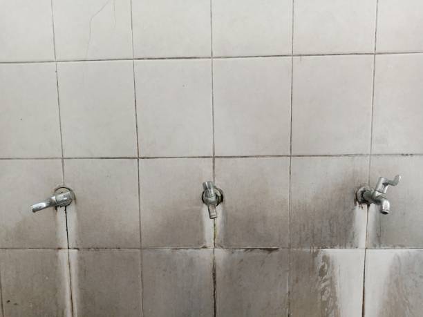 Best Flood restoration services  in Philmont, NY