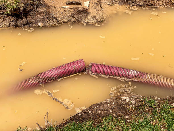 Best Water damage restoration company  in Philmont, NY